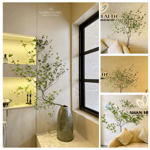 Enkianthus