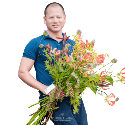 Tết collection